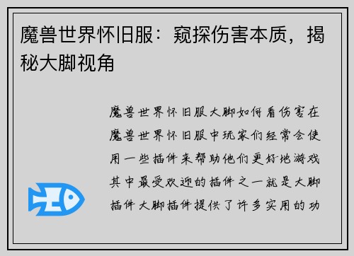 魔兽世界怀旧服：窥探伤害本质，揭秘大脚视角